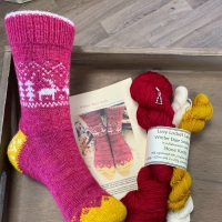 Winter Deer Socks -  Berry & Gold