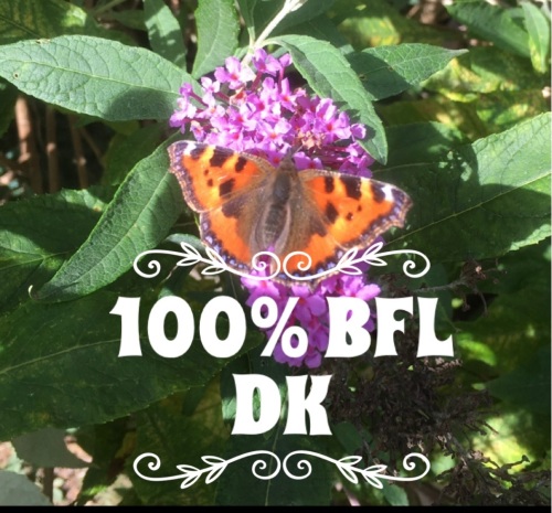 3. British Butterflies & Moths Yarn Club 2022 Superwash 100% BFL DK