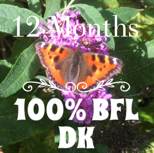 3. British Butterflies & Moths Yarn Club 2022 Superwash 100% BFL DK - month
