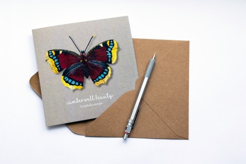 Camberwell Beauty Butterfly Card