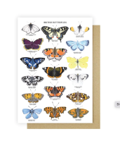 British Butterflies Card