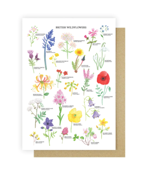 British Wildflowers Card