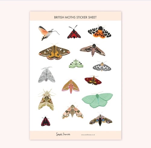 British Moths Stickers