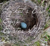 Locket’s Bird Egg Easter Egg #1  Speckled bird egg yarns and goodies