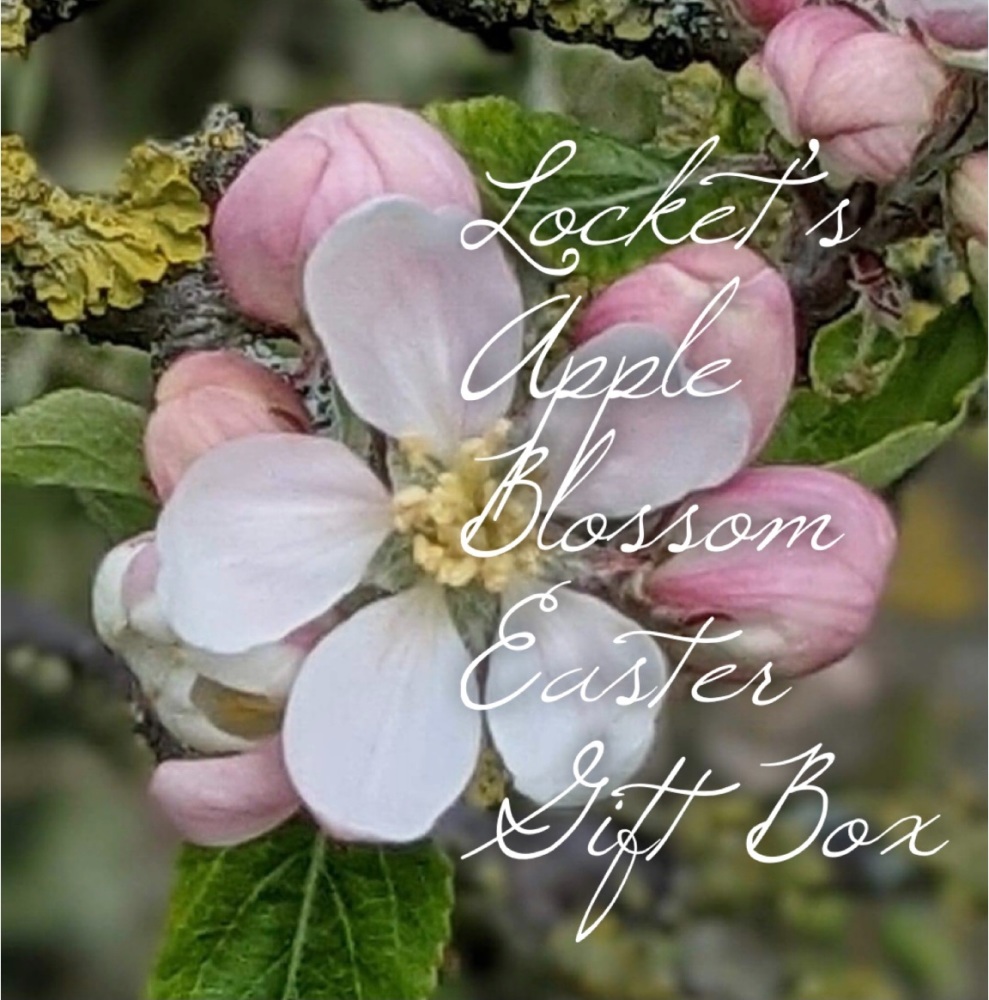 Pre-order Locket’s Bird Egg Easter Egg #2  Apple Blossom yarns and goodies