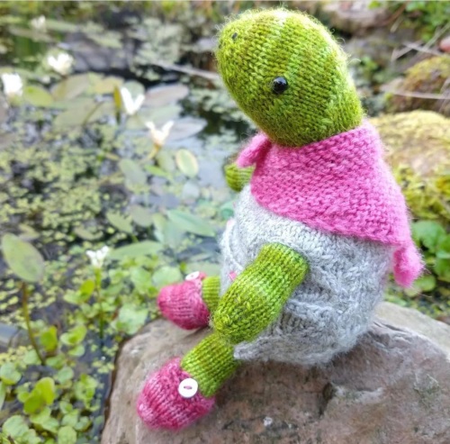 Jodie Turtle Yarn Set