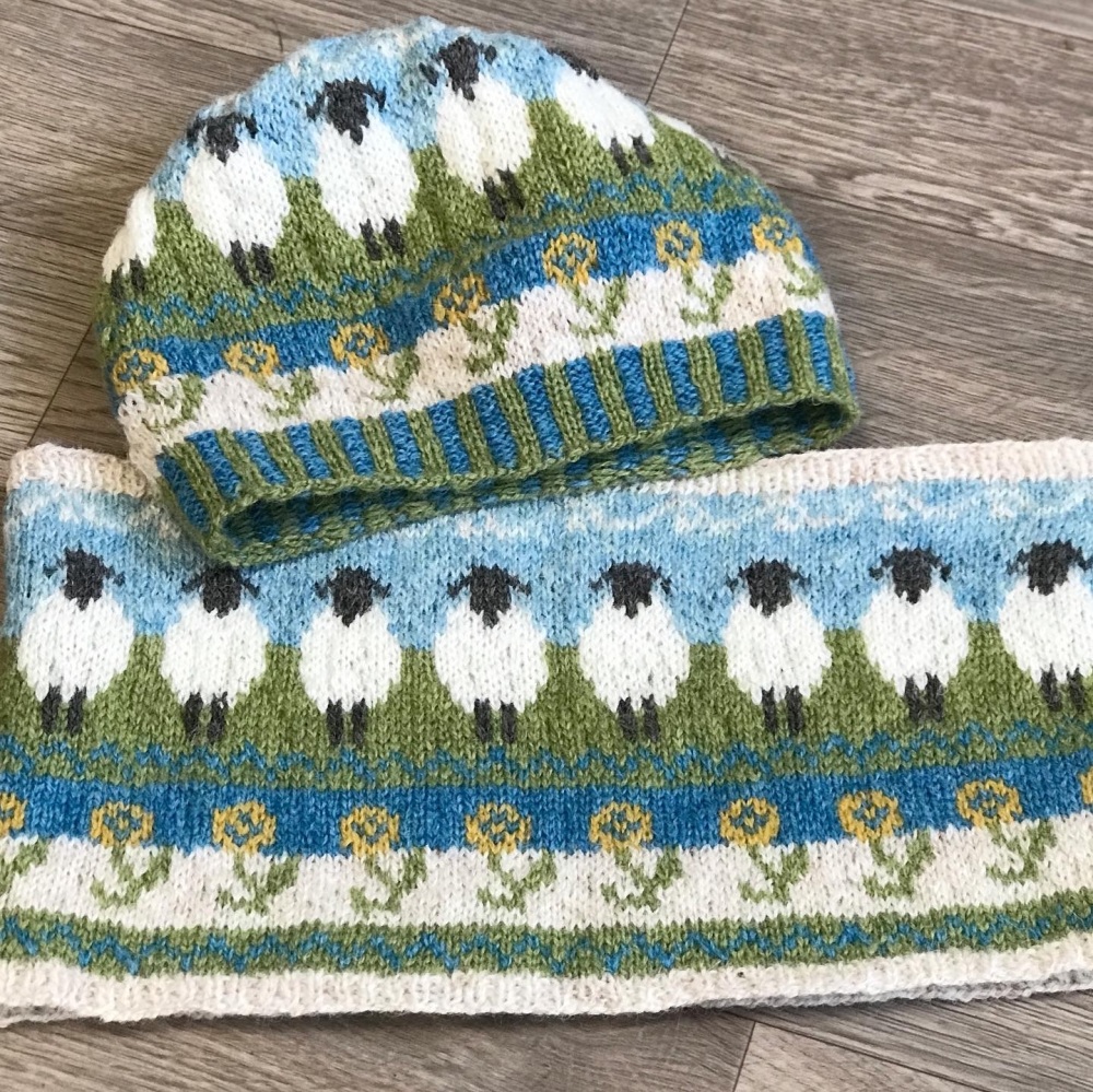 ***PRE-ORDER*** Spring Sheep Hat & Cowl Kit
