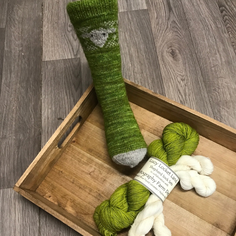 BFL/Nylon - Shepherd Sock  Kit  - Light Green Spring Lambs 