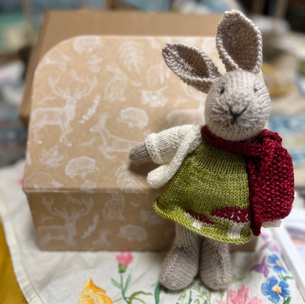 (Superwash Wool) Special Soft Brown Bunny in a Suitcase with Toadstool dress, cardigan, shoes and scarf patterns & yarn