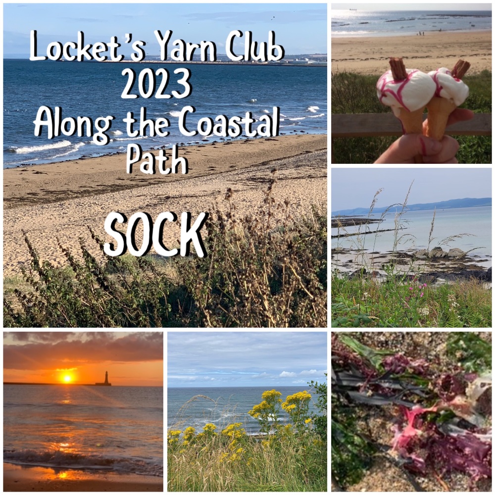 2. Along the Coastal Path SOCK Yarn Club 2023 Superwash BFL/Nylon 4ply - mo