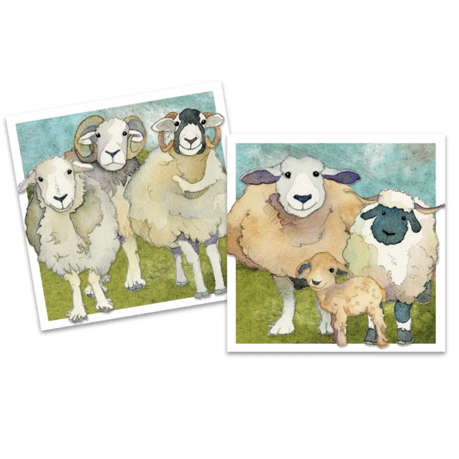 ***New*** Felted Sheep Mini Card Pack