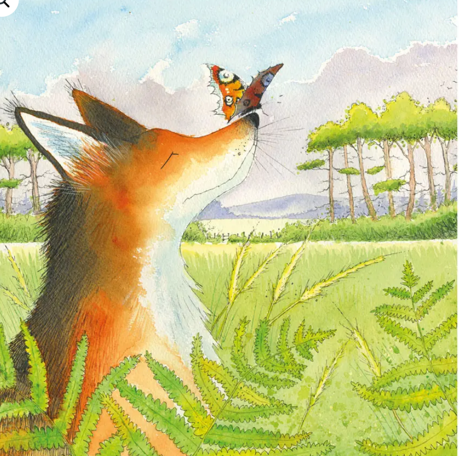 Fox & Butterfly Greetings Card