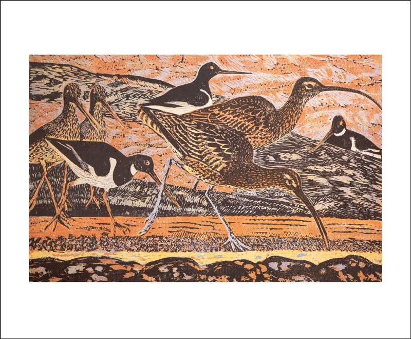 Curlew and Oystercatchers by John T.A. Osborne (1907-1979) blank card