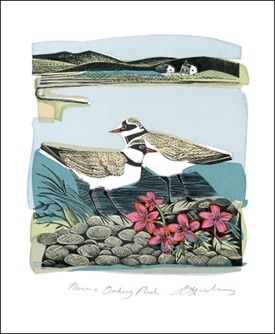 Plovers and Orkney Pinks Linocut and screen print by Angela Harding blank card