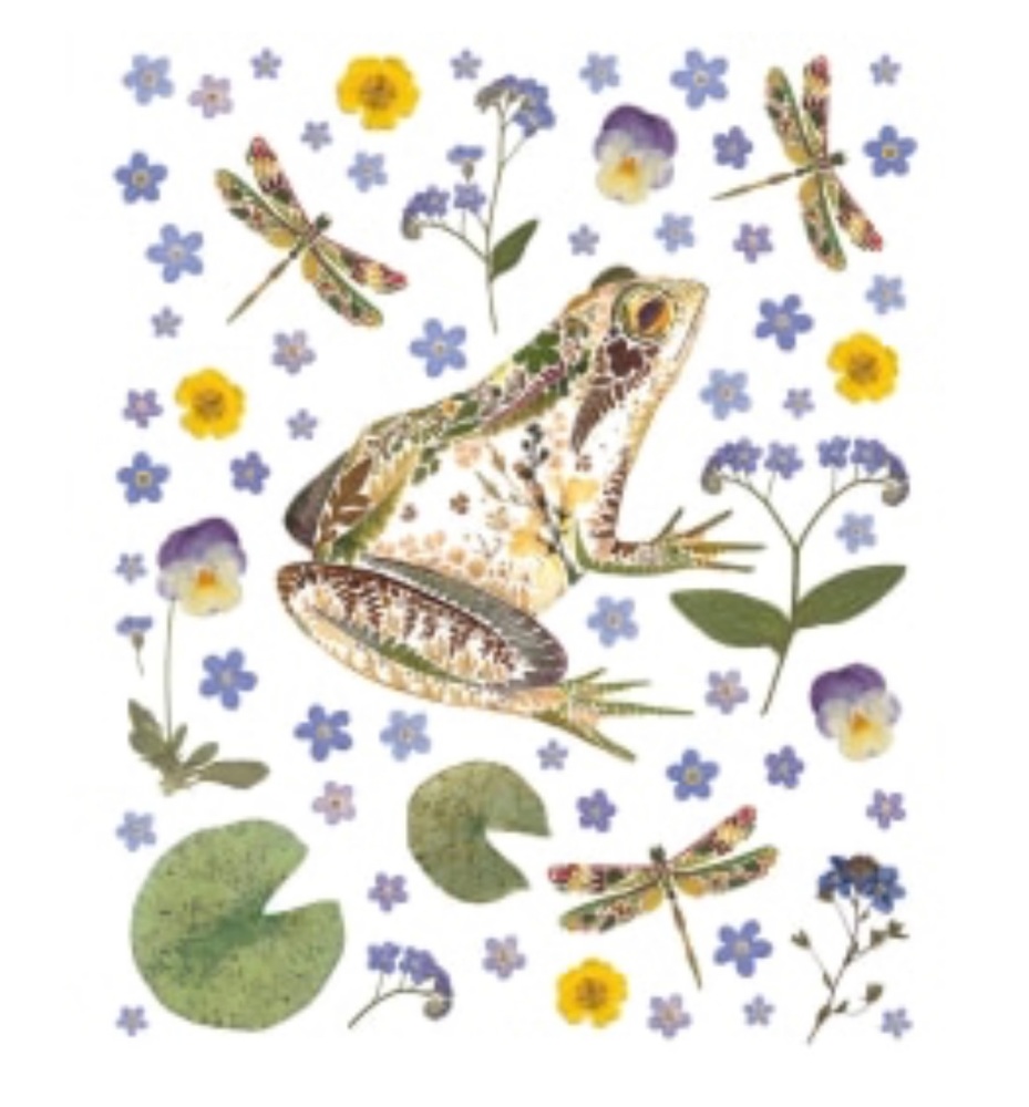 ***NEW*** Helen Ahpornsiri pressed flower Frog Card