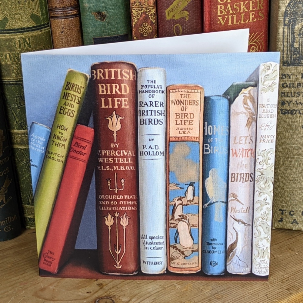 ***NEW*** Roo Waterhouse Shelf Portrait Square Card - Bird Life