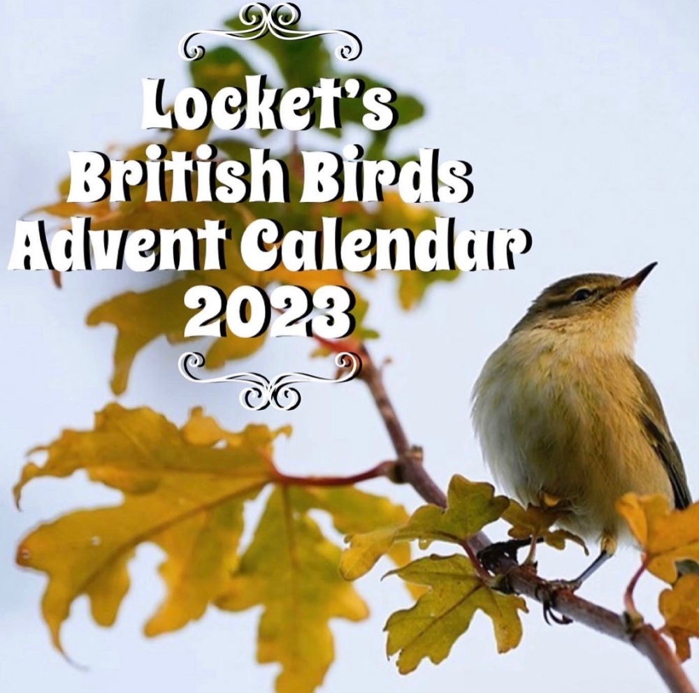 Last Chance Locket's 2023 Advent Calendar - British Birds (Single Payment)