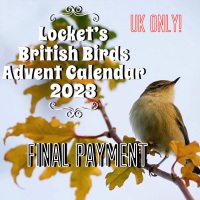 **UK ONLY** - FINAL Pre-Order Payment for 2023 Advent Calendar - Tracked 48 hour postage included