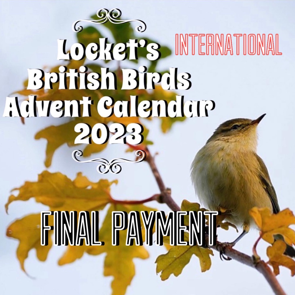 *INTERNATIONAL* - FINAL Pre-Order Payment for 2023 Advent Calendar