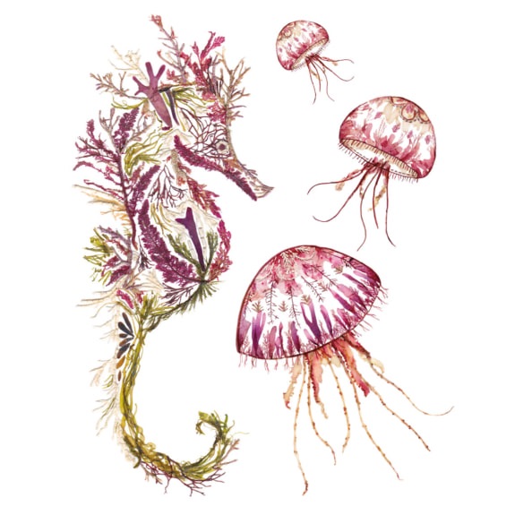 ***NEW*** Helen Ahpornsiri Seaweed Sea Horse Card