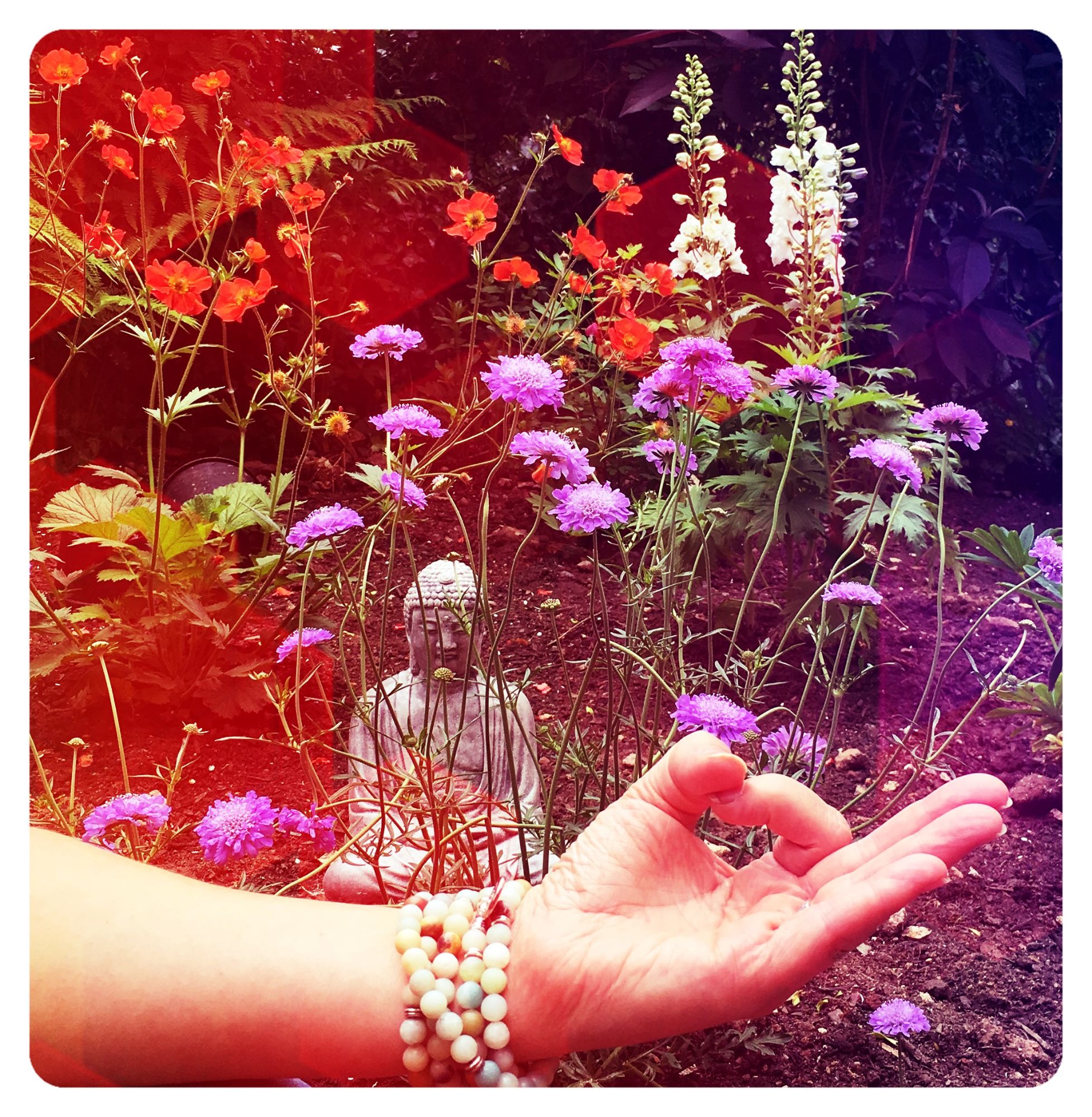 Deborah Green Yoga Classes