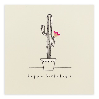 Ruth Jackson - Birthday cactus