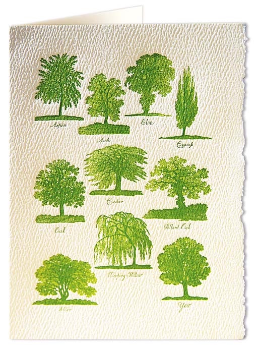 Archivist - Green Trees
