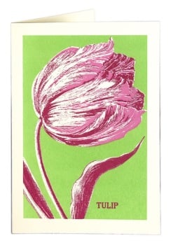 Archivist - Tulip