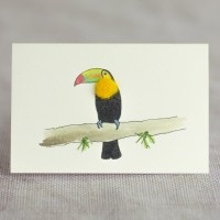 Penny Lindop Mini Card - Toucan