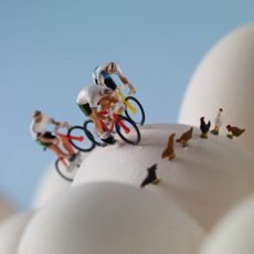 Holy Mackerel Minimian - Bikes on Eggs