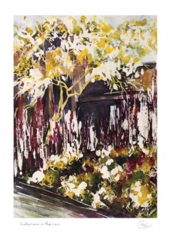 Mistletoe House: Margaret Weavill - Laburnum in the Rain