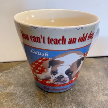 ECP Conical mug - Teach an old dog new tricks...