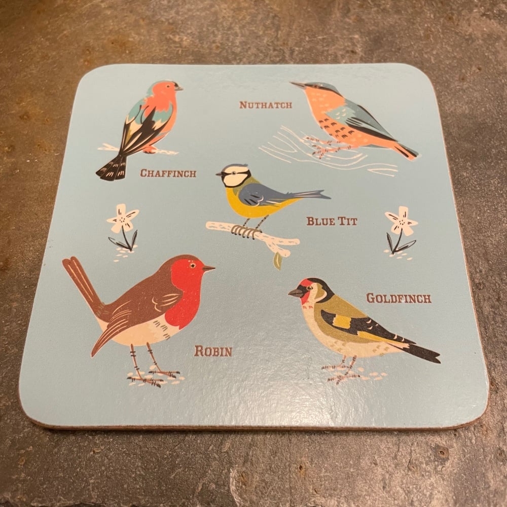 Rex Coaster - Birds