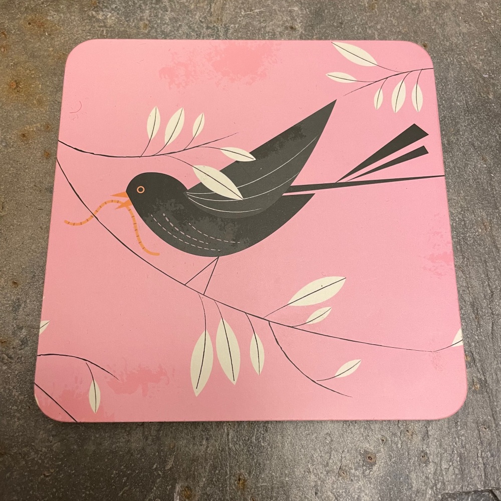 Magpie Coaster - Blackbird