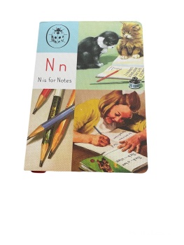 Portico Ladybird Notebook (small) - N is for Notes