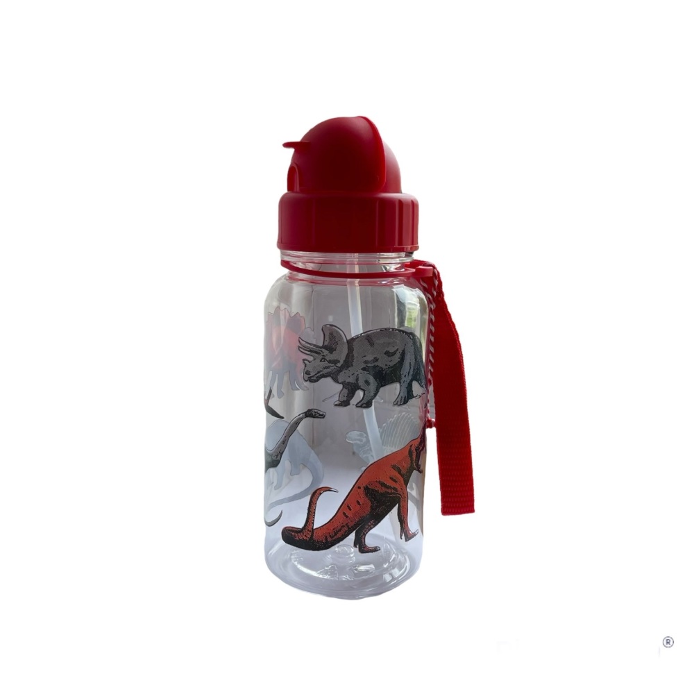 Rex Water Bottle - Dinosaurs
