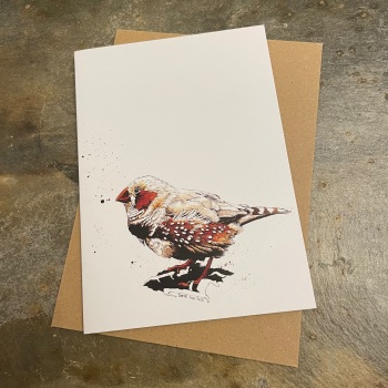 Some Ink Nice cards - Bird