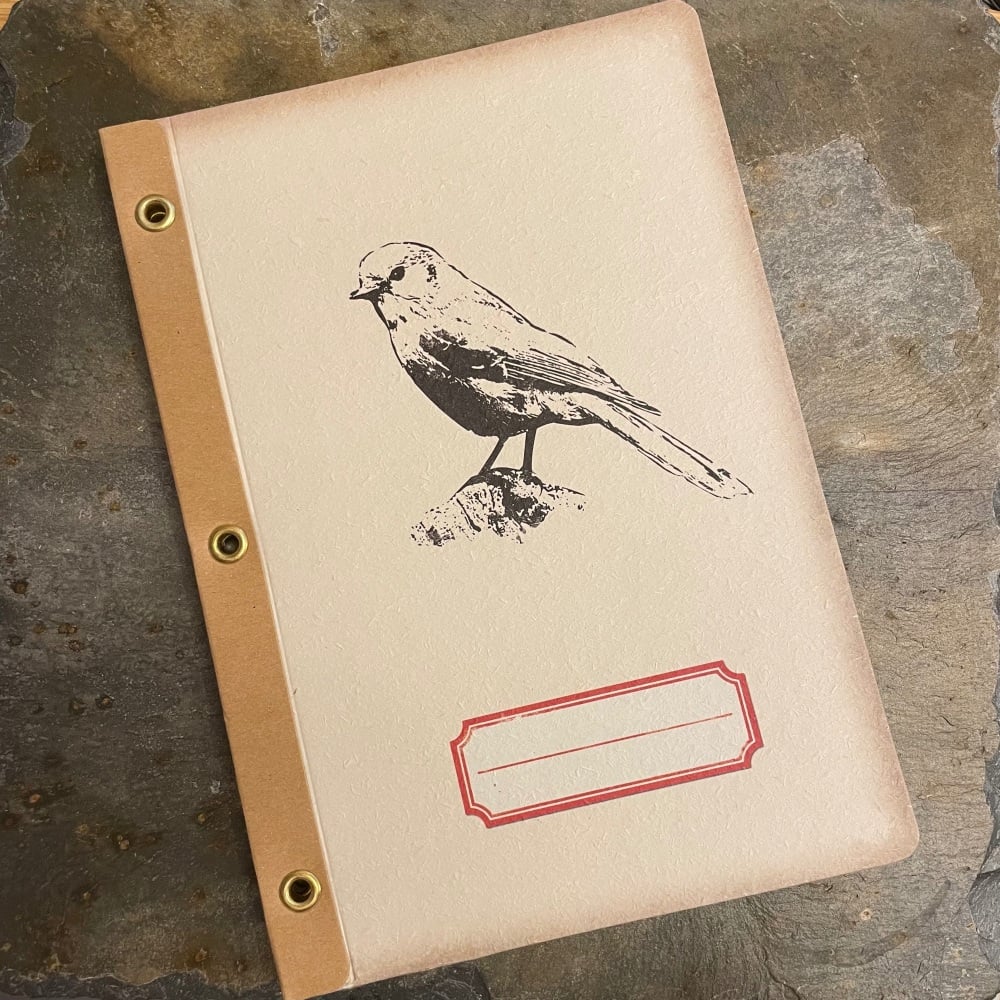 Temerity Jones Small Notebook  - Bird (White)
