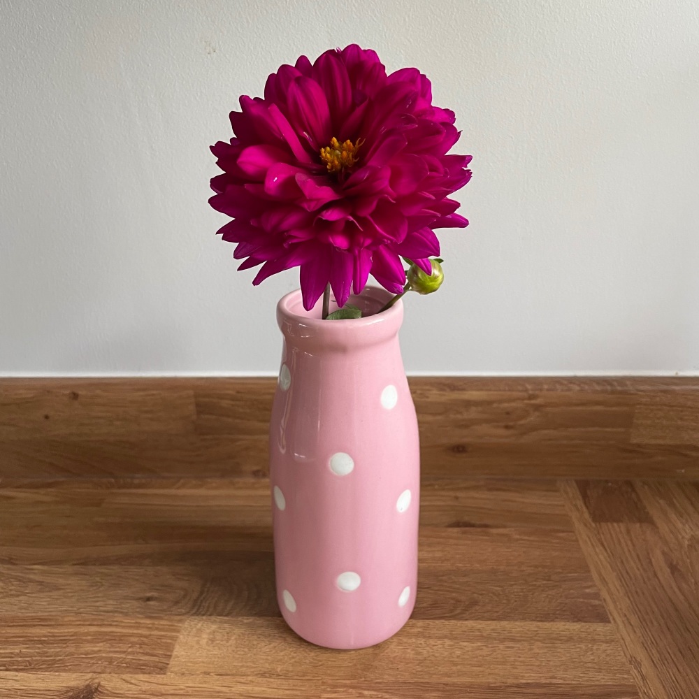 Gisela graham Pink Spotty Bottle
