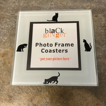 Black Ginger Glass Photo Coaster - Cats