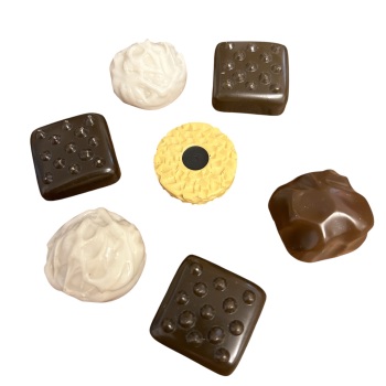 Chocolate Fridge Magnets (Assorted designs)