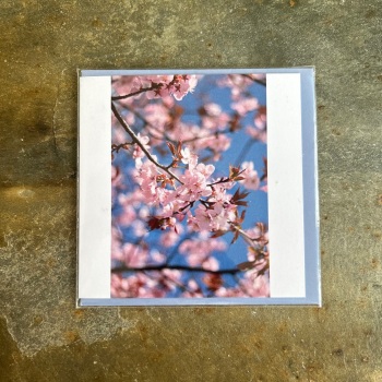 Cardtastic - Cherry Blossom