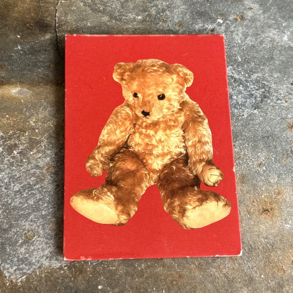 Half Moon Bay Fridge Magnet - Teddy