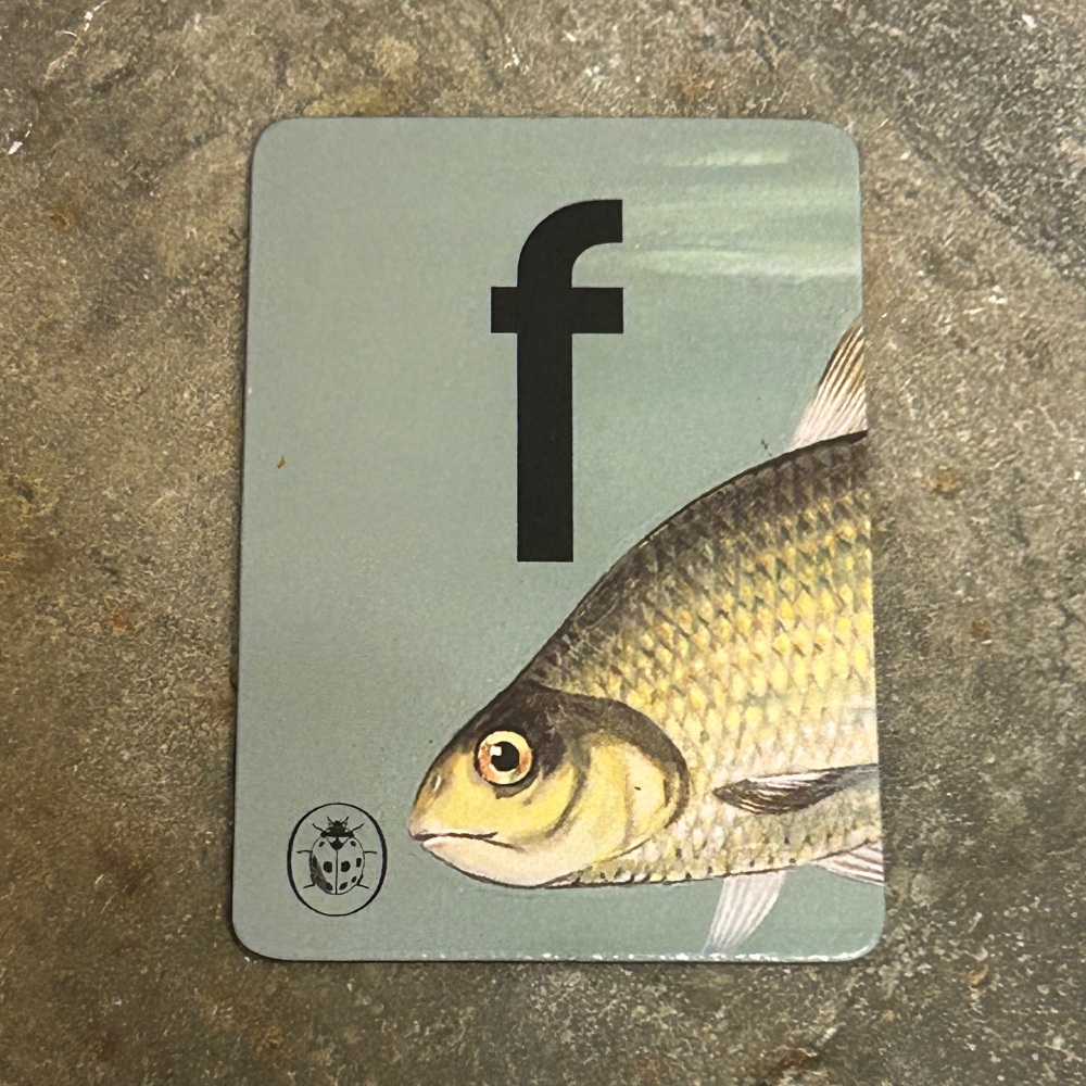 Designed in Colour (Ladybird) - Alphabet Magnets (individual letters as pic