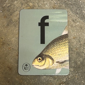 Designed in Colour (Ladybird) - Alphabet Magnets (individual letters as pictured)