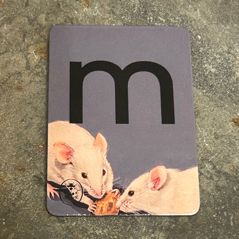 Designed in Colour (Ladybird) - Alphabet Magnets (individual letters as pic