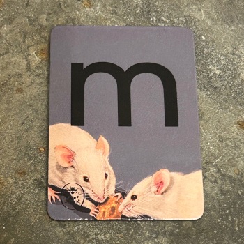 Designed in Colour (Ladybird) - Alphabet Magnets (individual letters as pictured)