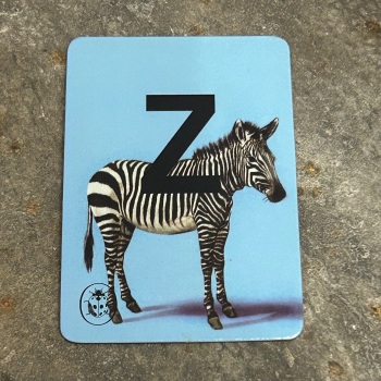 Designed in Colour (Ladybird) - Alphabet Magnets (individual letters as pictured)