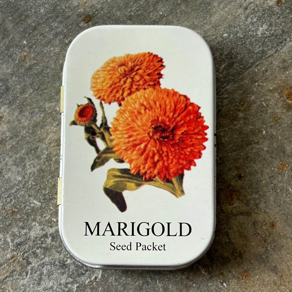 Half Moon Bay  - Tiny Tin (Seed Packet - Marigold)