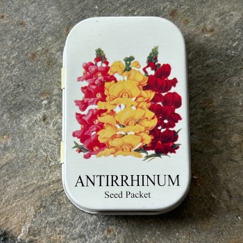 Half Moon Bay  - Tiny Tin (Seed Packet - Antirrhinum)